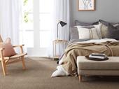 thriving coastal flooring window