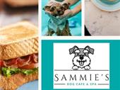 unique dog cafe spa
