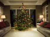 established install company of