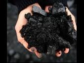 established coal trading business