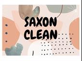 thriving house cleaning business