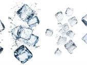 freehold ice supplier the