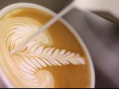 cafe north melbourne big