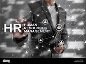 consulting firm focused on