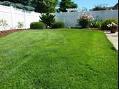 lawn gardening