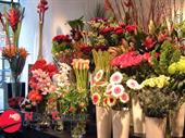 5 days florist hughesdale