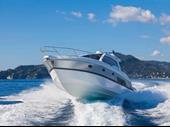 premier marine business the