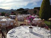 established destination wedding event