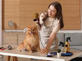 well established dog groomers