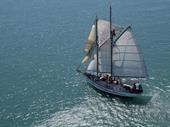 sea change profitable sailing