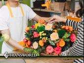 thriving exotic flower shop