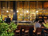 iconic venice area bar