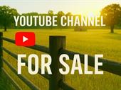 highly successful youtube channel