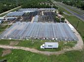 income-producing plant nursery waco