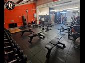 thriving highly profitable gym