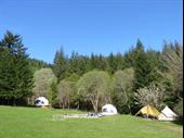 establiashed camping glamping site