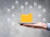 well-established software company with