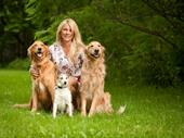 profitable dog grooming studio