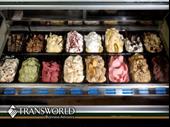 gelato shop hillsborough county