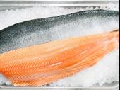 wholesale retail fish seafood