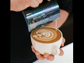 coffee bar franchise 45kgs