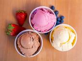 high-end artisanal vegan ice