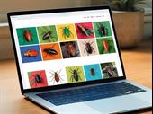 online store specialising insects