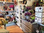 established florist hertfordshire for