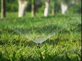 irrigation business for luxury