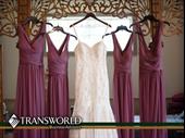 50 year established bridal