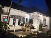 well-established restaurant for sale