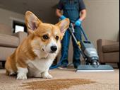 established triangle floor cleaning