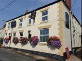 freehold pubs stoke on