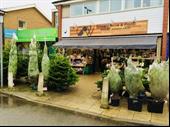 profitable established grocery store