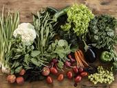 fresh produce boxes supplier