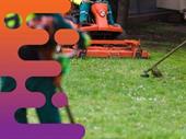 35539 established lawn mowing