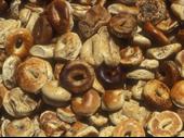 asset sale bagel store