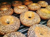 rapidly growing bagel store