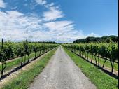 winery vineyard event centre