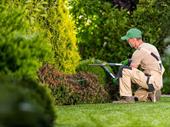 high-margin garden maintenance business
