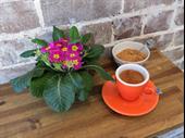 espresso bar eastern suburbs