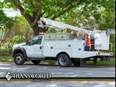 growing fleet service for