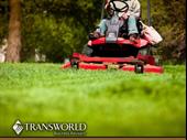 thriving landscaping tree business