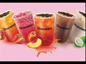 sharetea franchise under management