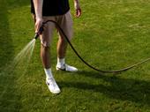 successful lawn care company