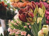 profitable florist celebrating it's