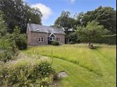 copperfield cattery for sale