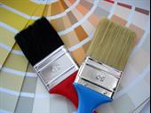 profitable painting business ready
