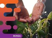 35575 profitable irrigation business