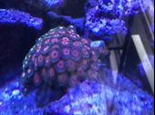 easy to run aquarium